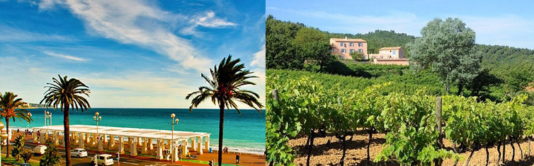 Opplev Cte d'Azur (Rivieraen), vingrder og vinslott